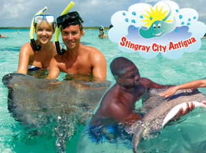 Stingray City Adventure