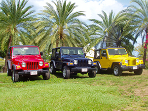 Antigua Jeep Wrangler Rental 