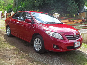 Antigua Car Rental - Toyota Corolla